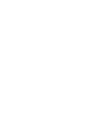 报告查询